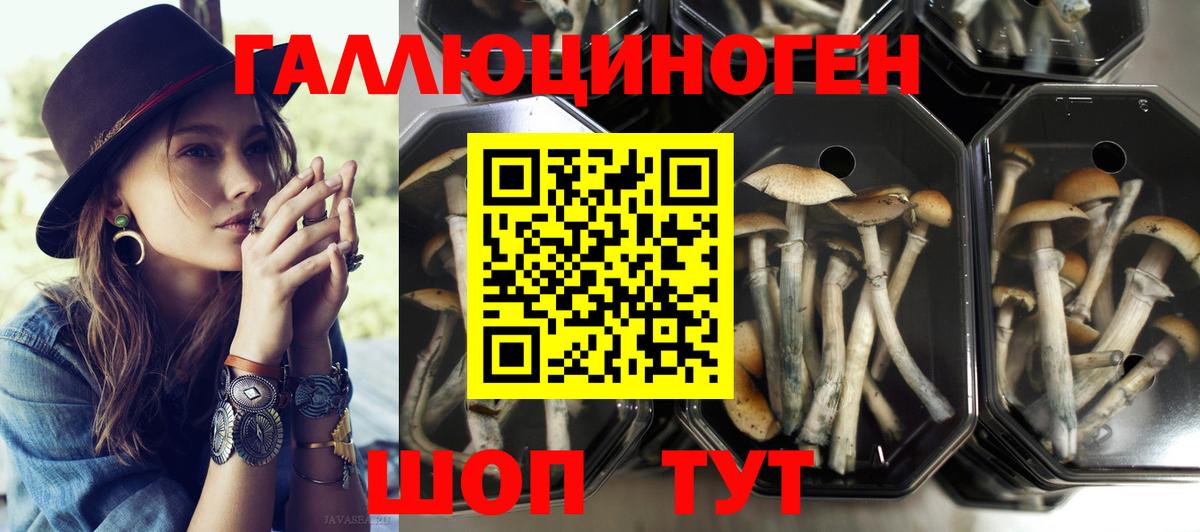 Галлюциногенные грибы GOLDEN TEACHER  купить наркотики сайты  Железноводск  Псилоцибиновые грибы Magic Shrooms  Вход с VPN 